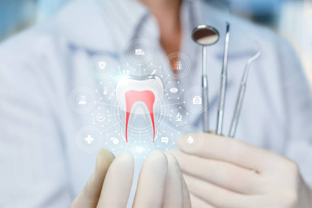 Professional Dental Services in Bolindale, OH